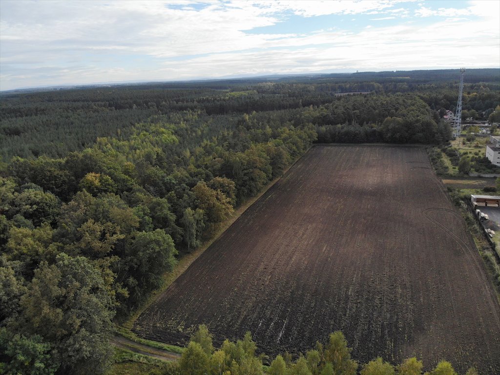 Działka przemysłowo-handlowa na sprzedaż Gromadka  9 200m2 Foto 2