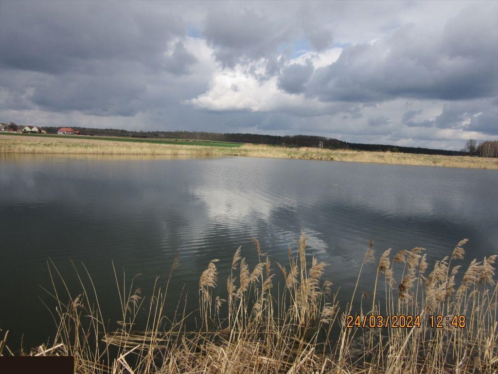 Działka inwestycyjna na sprzedaż Wziąchowo Małe  130 892m2 Foto 18