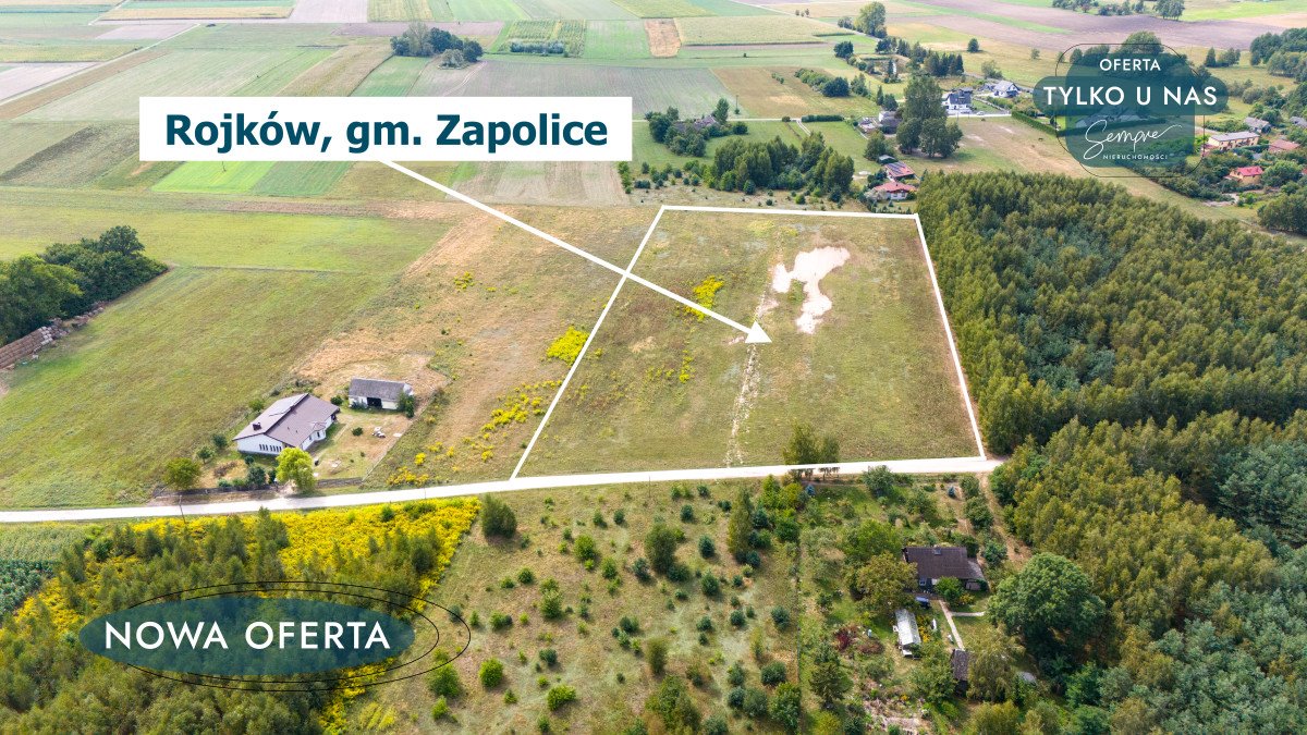 Działka budowlana na sprzedaż Rojków  1 350m2 Foto 3