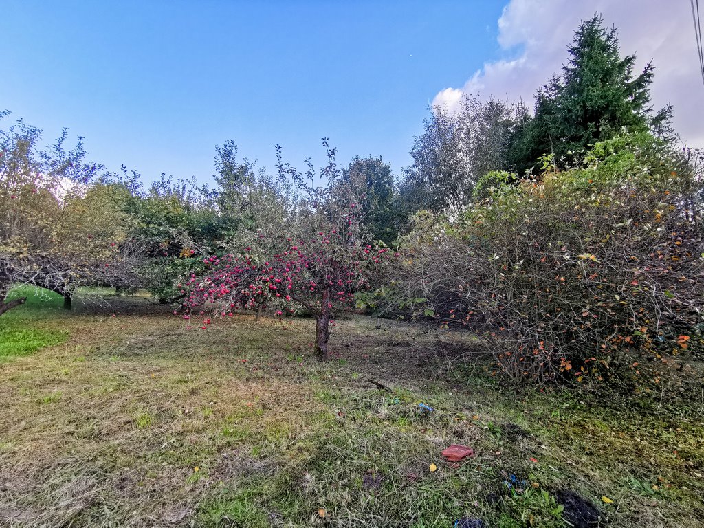 Działka budowlana na sprzedaż Łańcut, Józefa Piłsudskiego  1 633m2 Foto 1