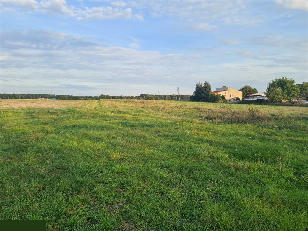 Działka rolna na sprzedaż Zaryń  4 600m2 Foto 8