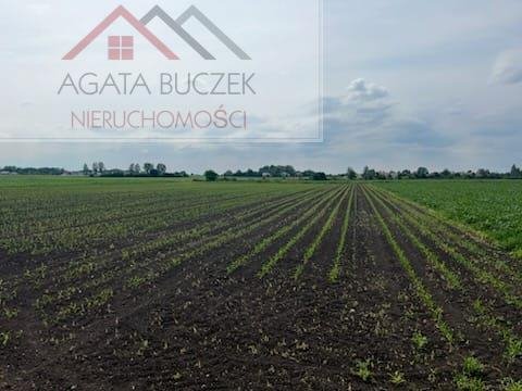 Działka rolna na sprzedaż Żerniki Wrocławskie  8 000m2 Foto 3