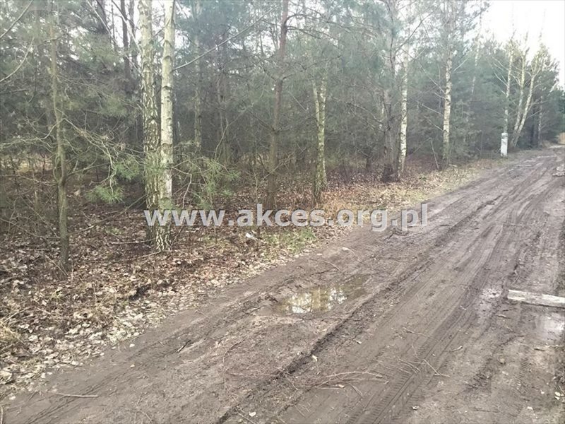Działka budowlana na sprzedaż Łoś, Łoś 1 000m2 Foto 1 Działka budowlana na sprzedaż Łoś, Łoś 1 000m2 Foto 1