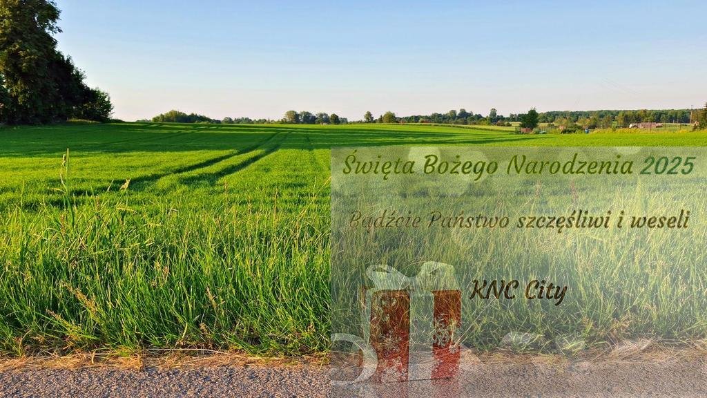 Działka budowlana na sprzedaż Miłocin  3 000m2 Foto 1