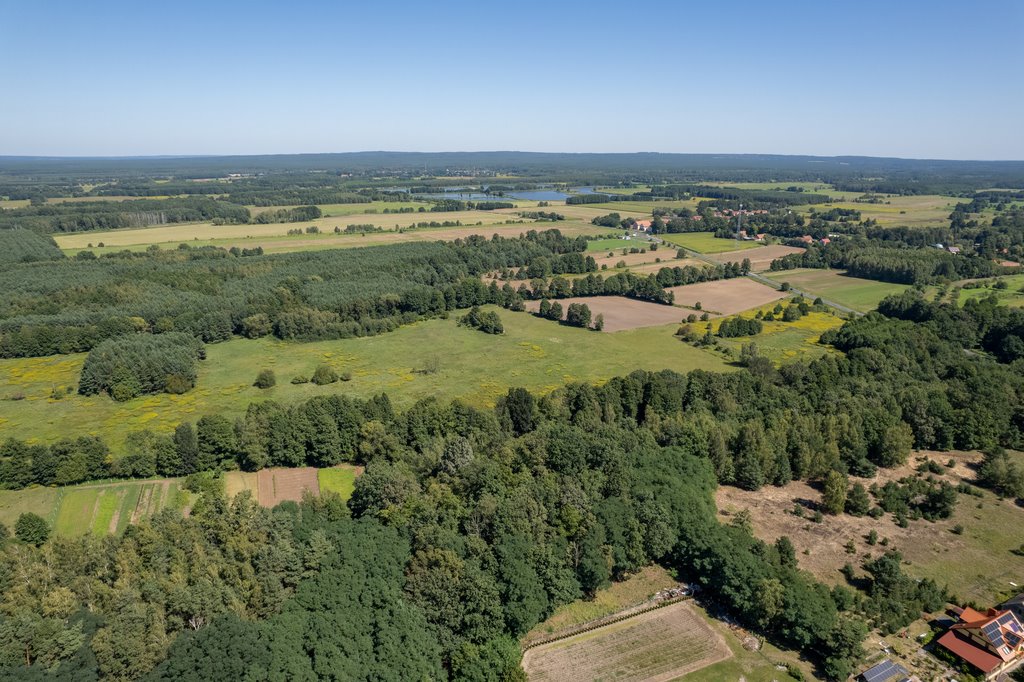 Działka inna na sprzedaż Kuźniczysko  9 900m2 Foto 2