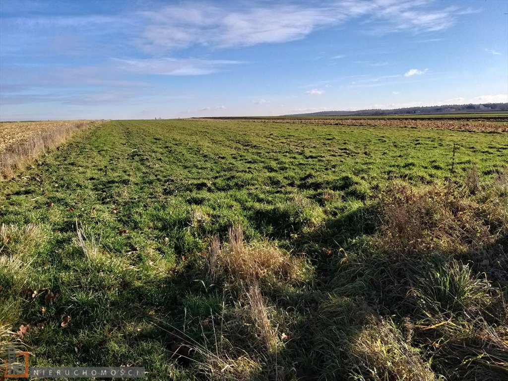 Sprzedam działkę 1408 m² z mediami i widokami w Przestańsku Przestańsko  1 408m2 Foto 1
