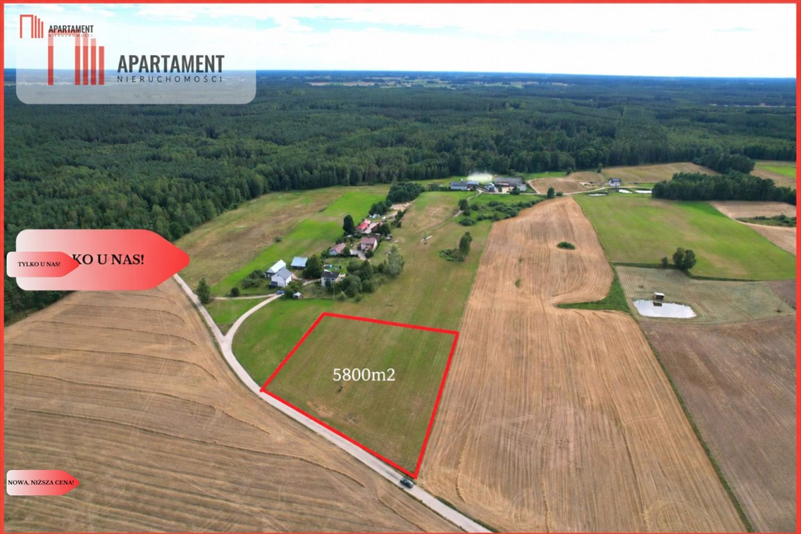 Działka 2,16 ha z stawem, sadami i potencjałem - polecam! Odry  5 800m2 Foto 1