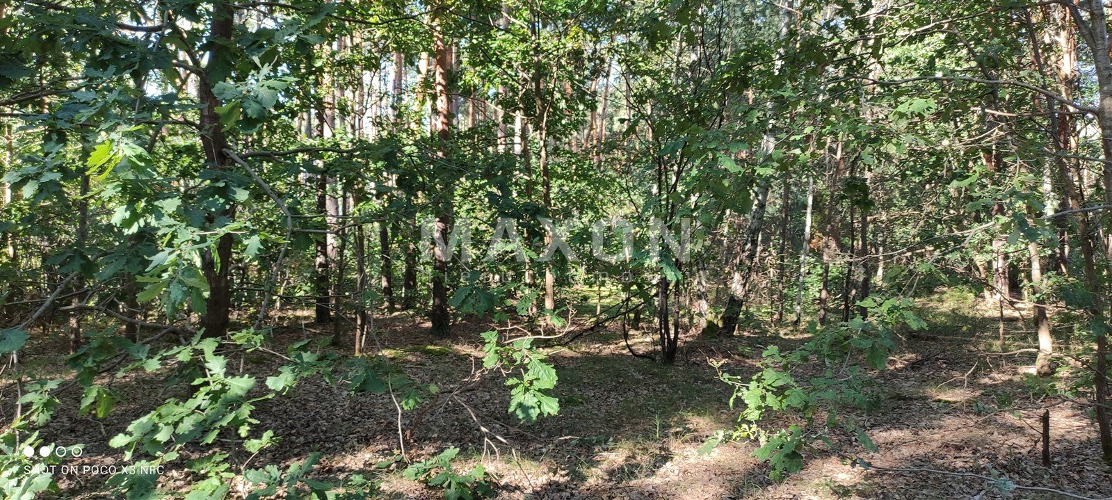 Działka inna na sprzedaż Izabelin, Klonowa 1  2 000m2 Foto 2