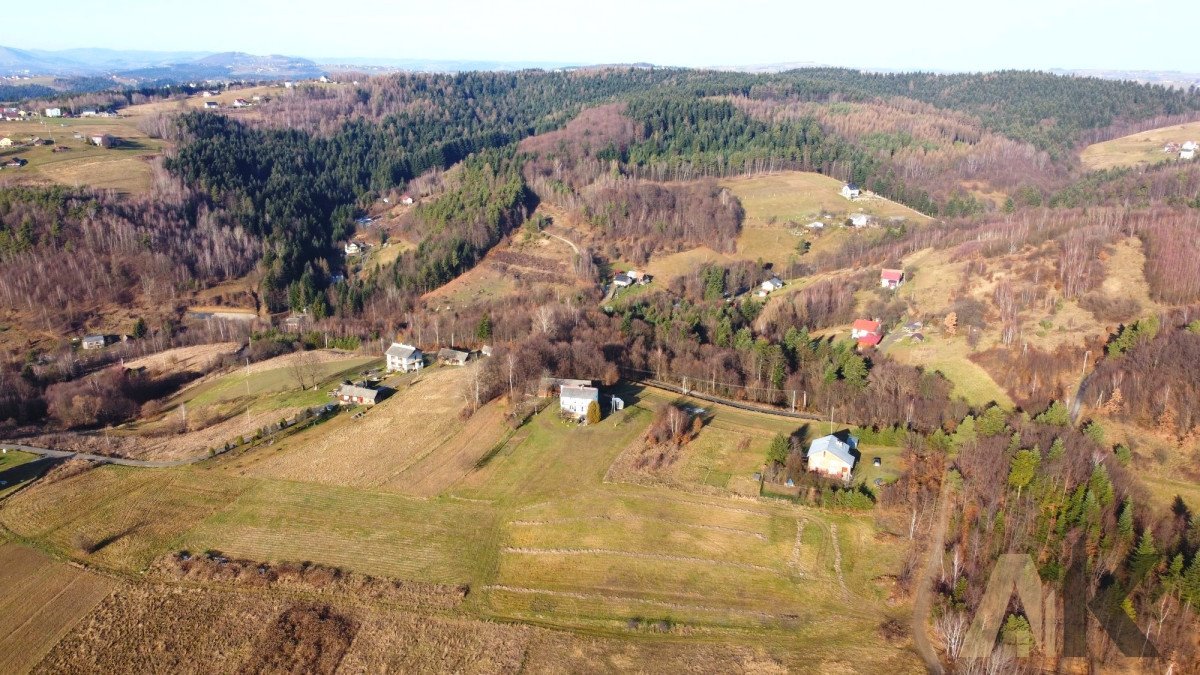 Działka budowlana na sprzedaż Paszyn  3 218m2 Foto 8