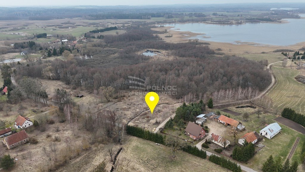 Działka rolna na sprzedaż Rogojny  3 000m2 Foto 4