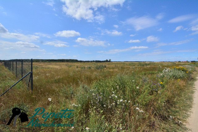 Działka budowlana na sprzedaż Kórnik, Kórnik, Radzewo  10 462m2 Foto 8