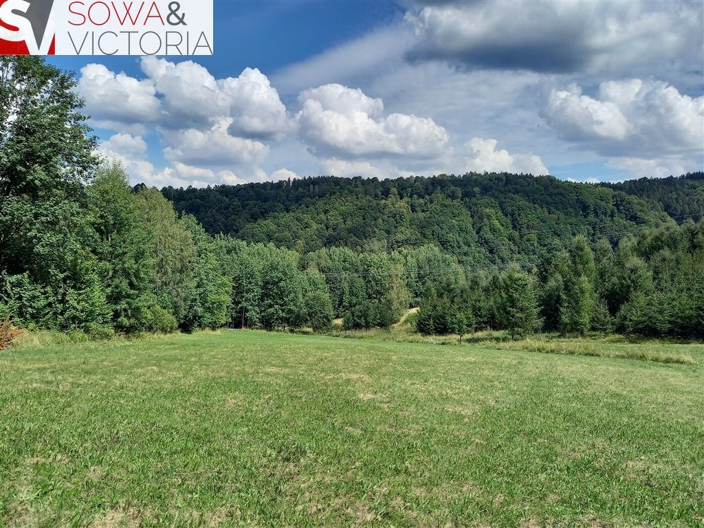 Działka inna na sprzedaż Jugowice  3 000m2 Foto 4