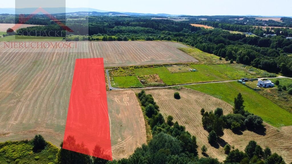 Polecam działkę inwestycyjną 1,56 ha z potencjałem podziału w Olszynie Olszyna  15 600m2 Foto 1