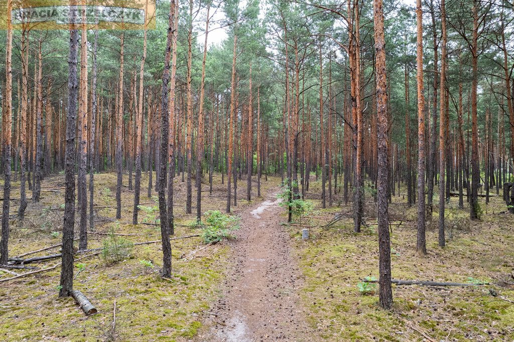 Działka leśna na sprzedaż Warszawa, Wawer  2 492m2 Foto 7