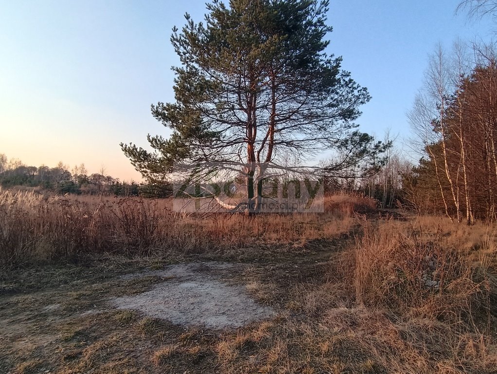 Działka budowlana 1200 m² z dojazdem, prąd, las 400 m Żelechów  1 200m2 Foto 1