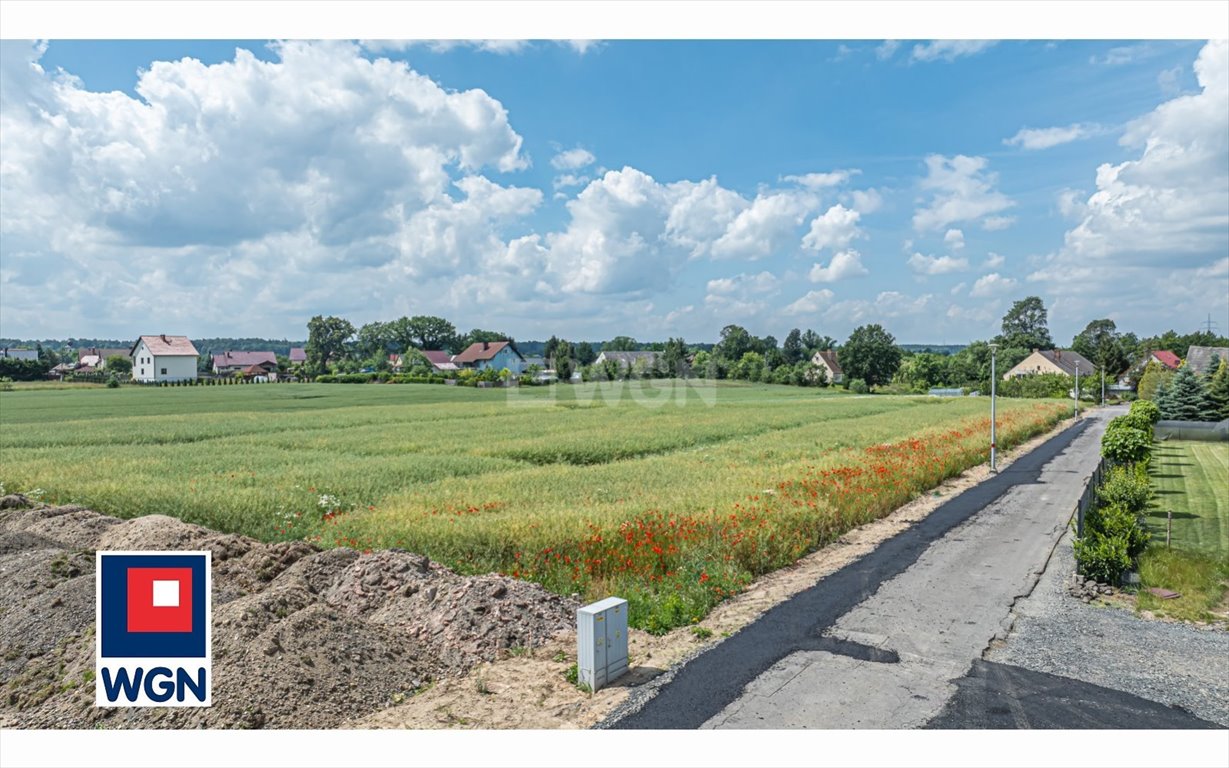 Działka budowlana na sprzedaż Warta Bolesławiecka, Centrum  1 500m2 Foto 5