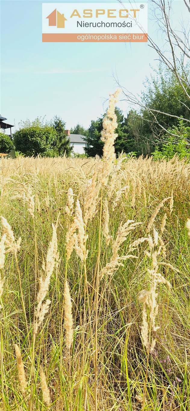 Działka inna na sprzedaż Rybnik, Boguszowice Stare  2 189m2 Foto 4