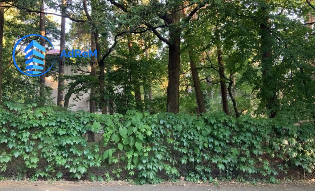 Duża działka 4700 m² z lasem, media, blisko Warszawy Łoś  4 700m2 Foto 1