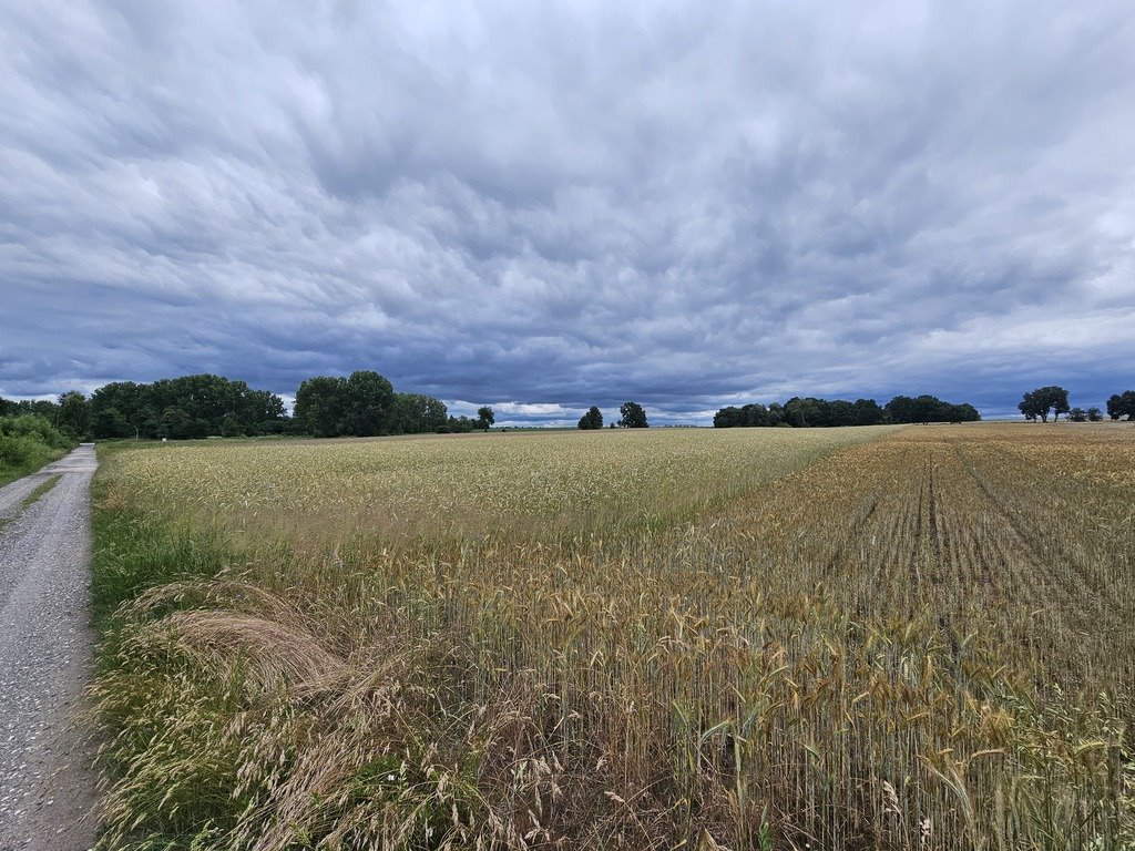 Działka budowlana na sprzedaż Wojcieszyce  1 100m2 Foto 2