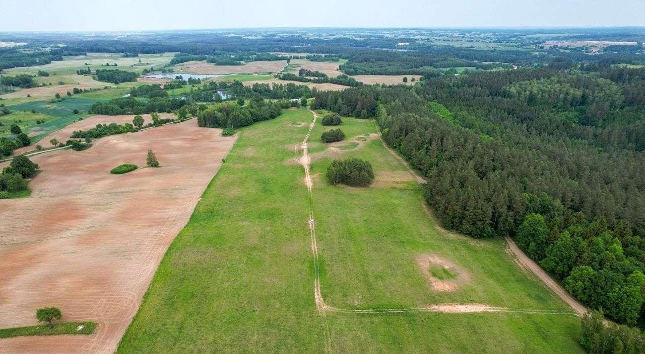 Działka rolna na sprzedaż Nowe Krzywe  3 011m2 Foto 10