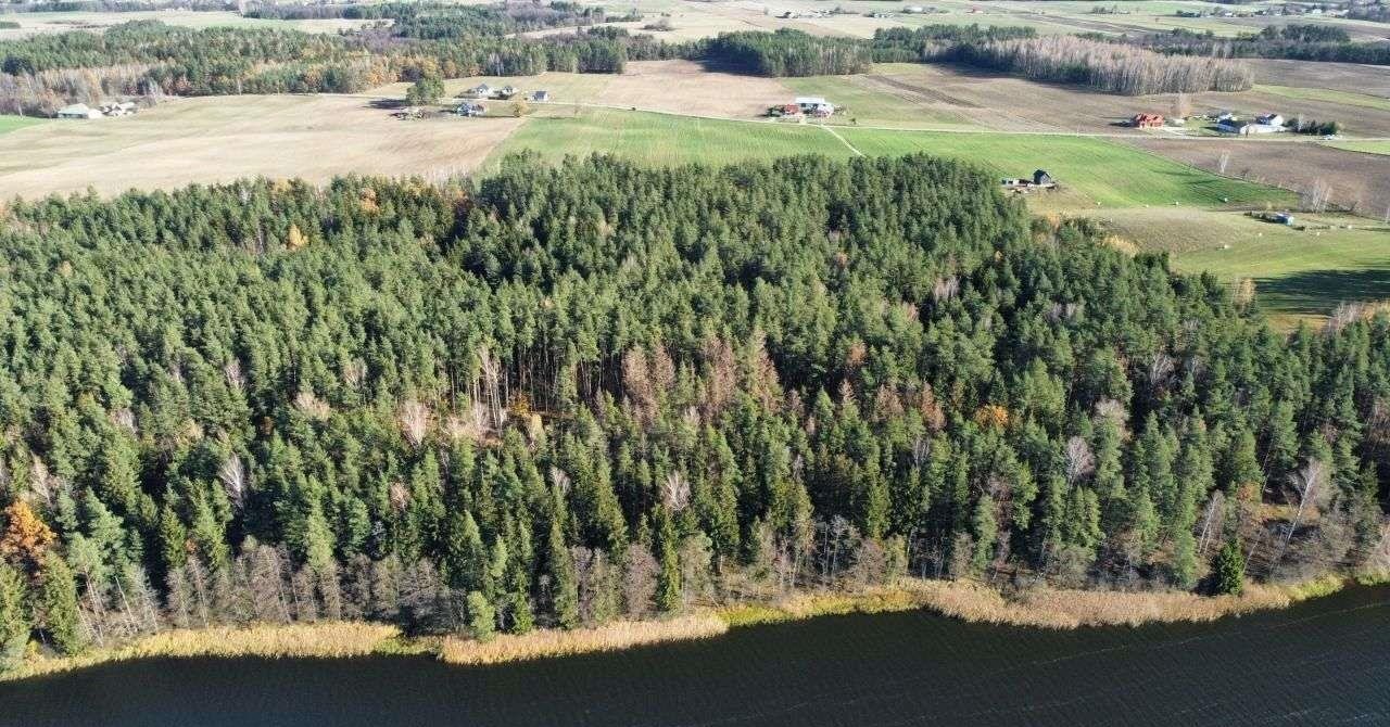 Działka rolna na sprzedaż Bakałarzewo  3 000m2 Foto 4