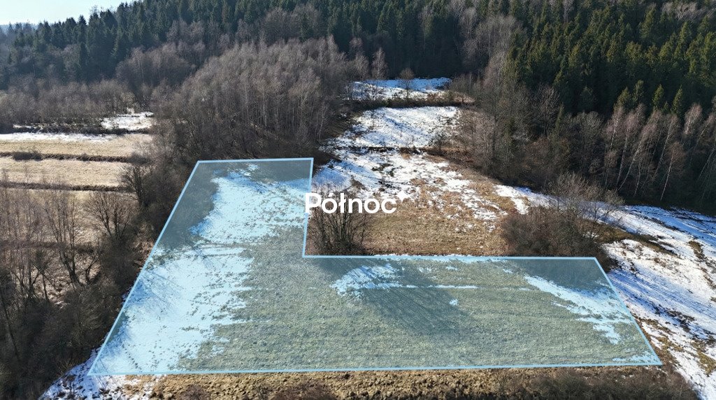 Działka rolna 0,38 ha w Kamienicy – spokój i natura Kamienica  3 800m2 Foto 1