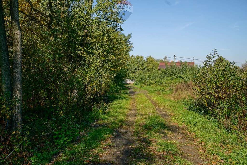 Działka budowlana na sprzedaż Puszcza Mariańska, Akacjowa  1 795m2 Foto 7