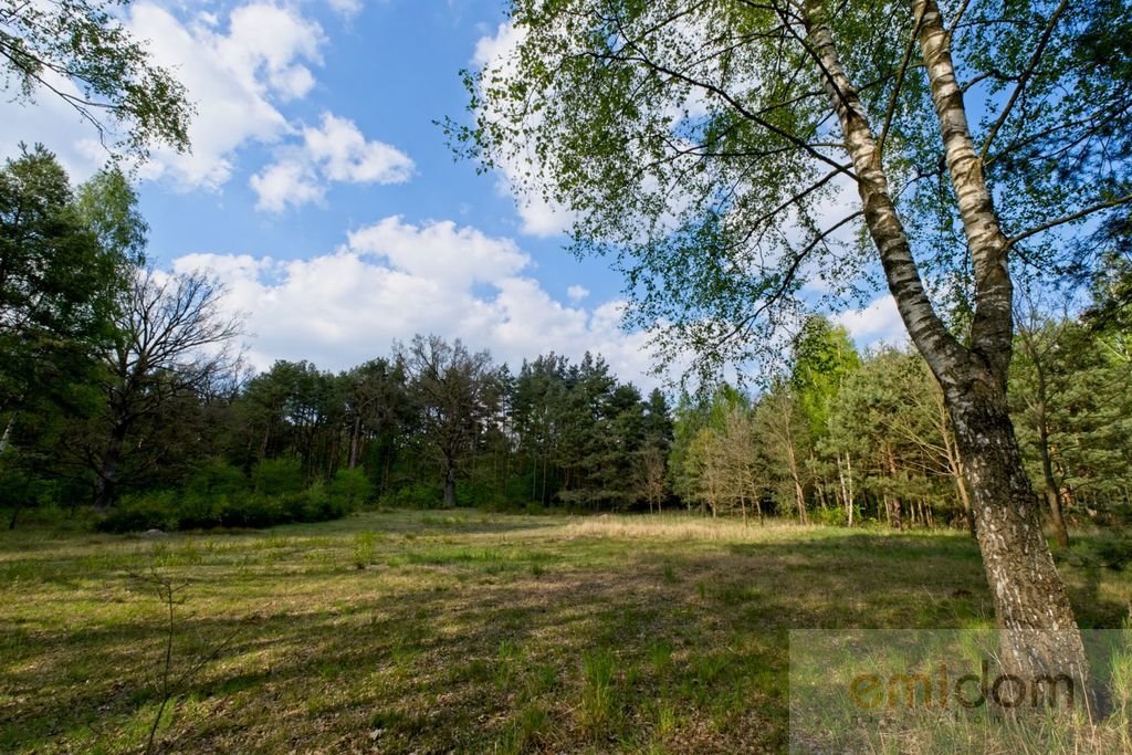 Działka budowlana na sprzedaż Pniewo  9 800m2 Foto 2