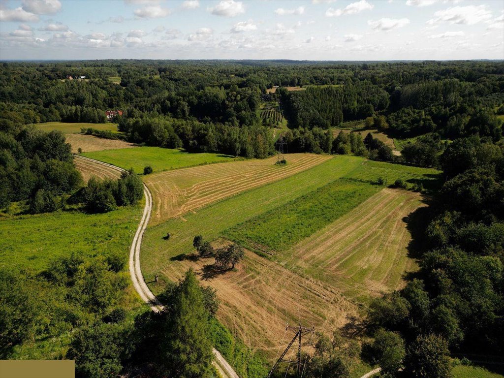 Działka budowlana na sprzedaż Wylągi  5 140m2 Foto 3