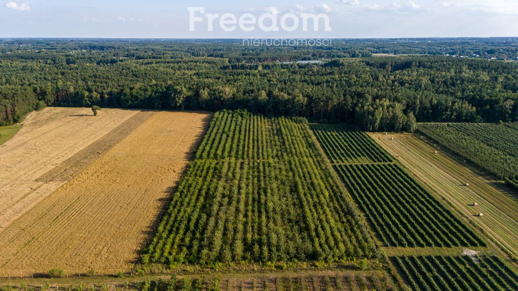 Działka rolna na sprzedaż Mirowice, Sosnowa  27 089m2 Foto 1