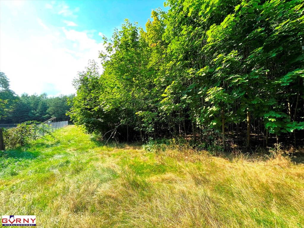 Działka inna na sprzedaż Mniszków  7 400m2 Foto 5