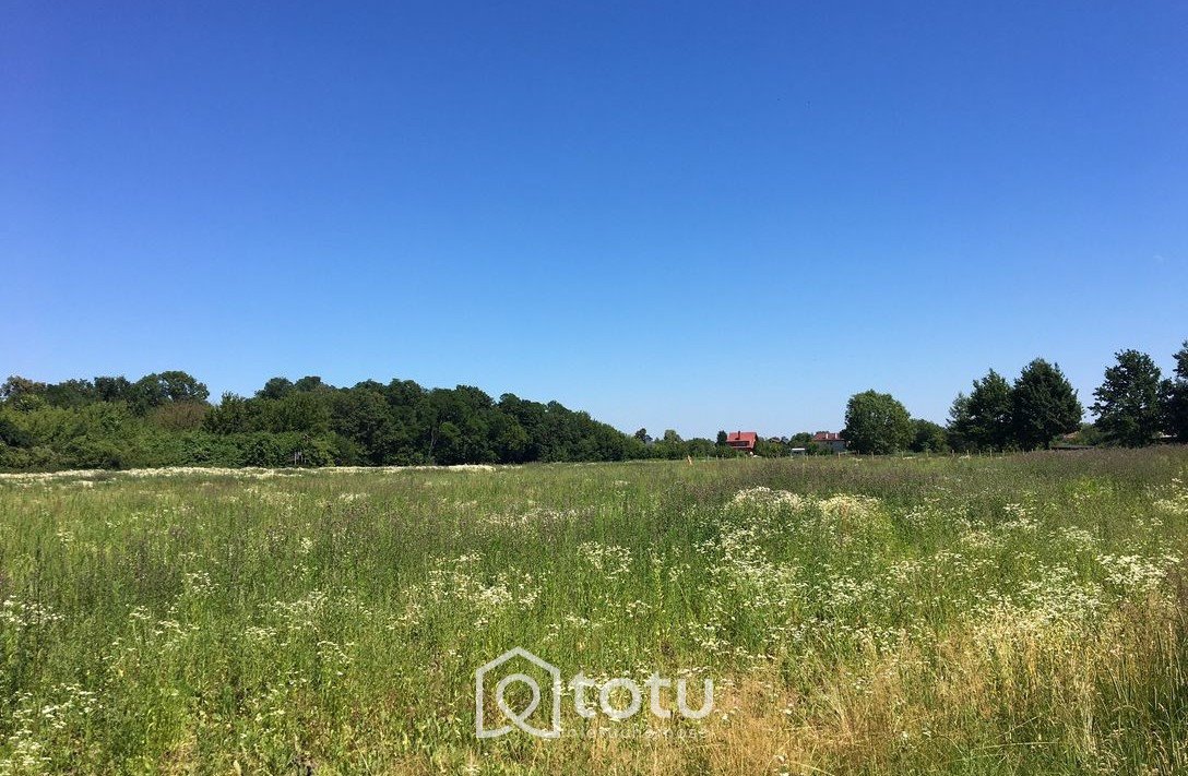 Działka budowlana na sprzedaż Święcice, Słoneczna  1 000m2 Foto 1