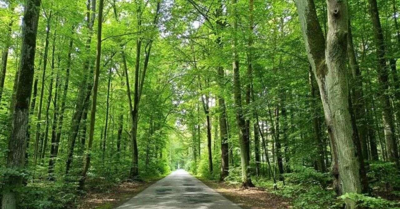 Dom na sprzedaż Pukarzów  60m2 Foto 8