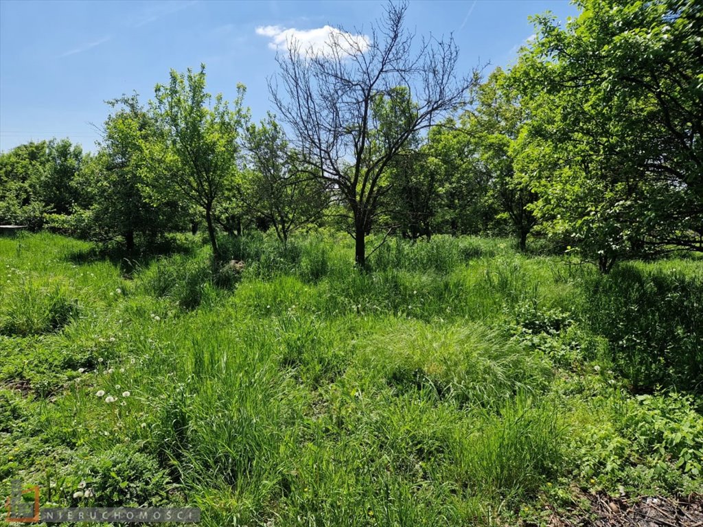 Lokal użytkowy na sprzedaż Maszków  100m2 Foto 4