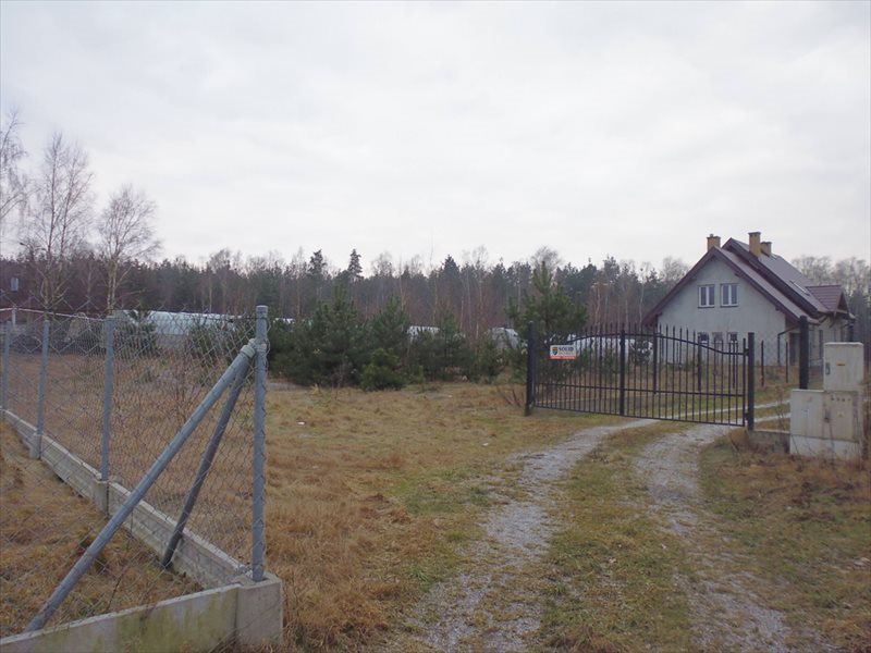 Działka budowlana na sprzedaż Skrzeszew, Leśna 1 001m2 Foto 1 Działka budowlana na sprzedaż Skrzeszew, Leśna 1 001m2 Foto 1