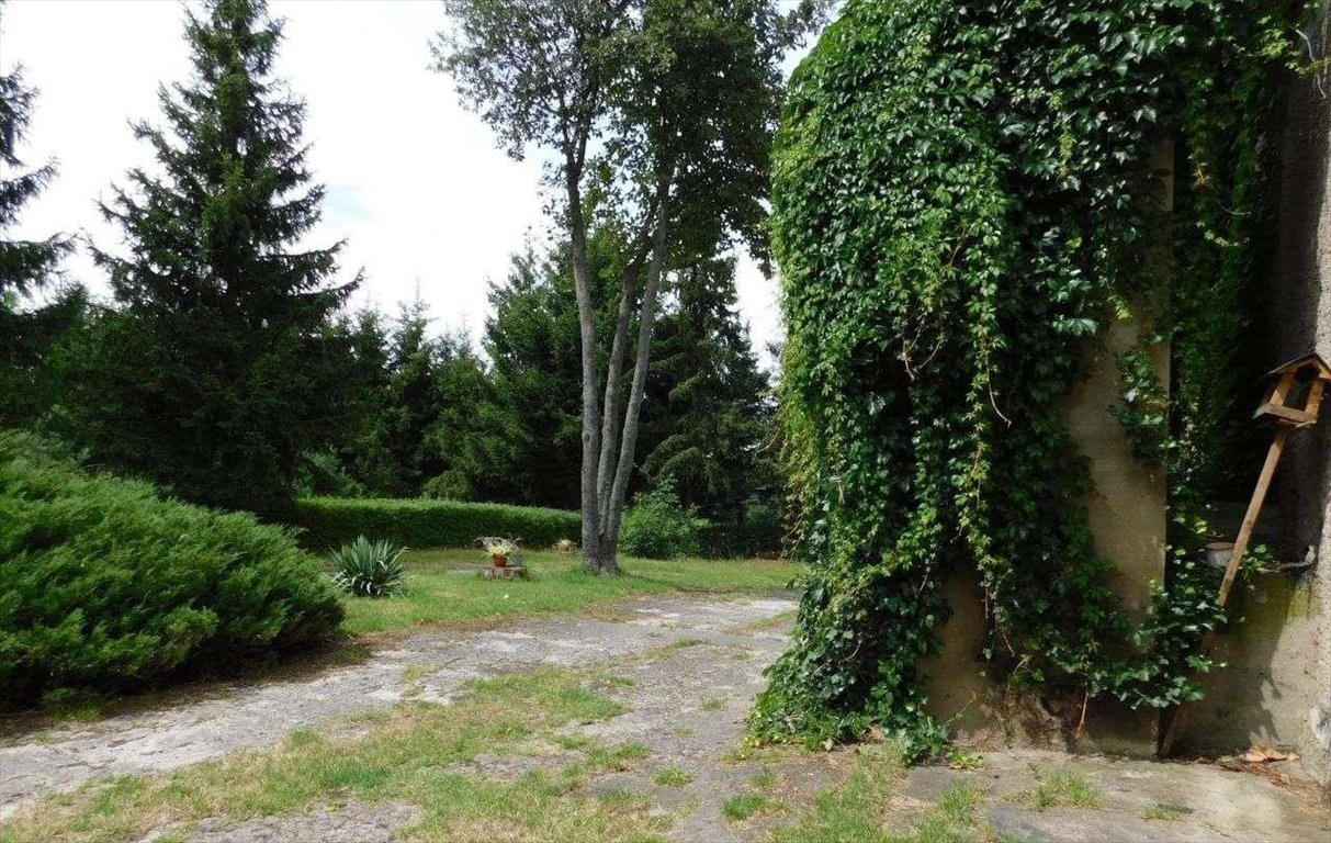 Dom na sprzedaż Jasień  200m2 Foto 8