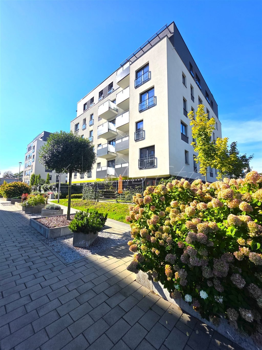 Zapraszam do wynajęcia 2-pokojowego mieszkania 50 m² w Katowicach Katowice, Ligota, Biskupa Tadeusza Szurmana  47m2 Foto 1