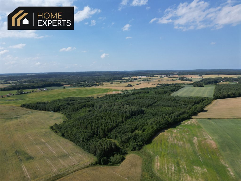 Zalesione działki w Szczodrowie 21,9 ha, las, jezioro Szczodrowo  219 023m2 Foto 1