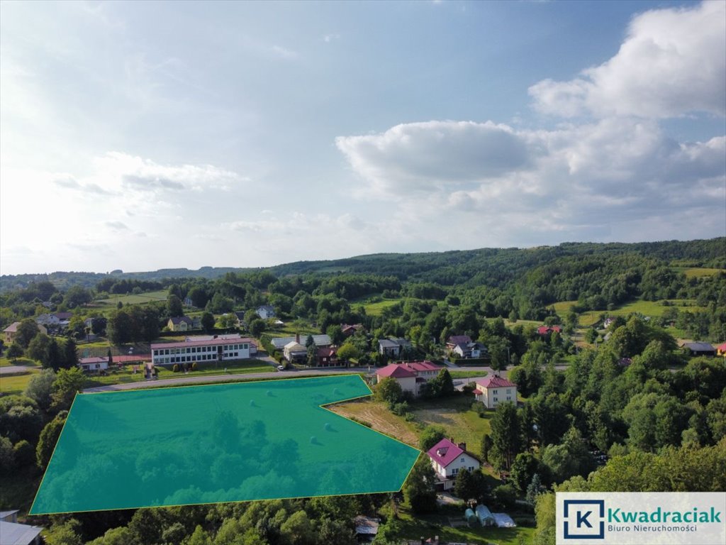 Działka budowlana na sprzedaż Barycz  7 300m2 Foto 1