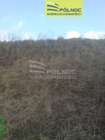 Działka budowlana na sprzedaż Orłów  10 271m2 Foto 7