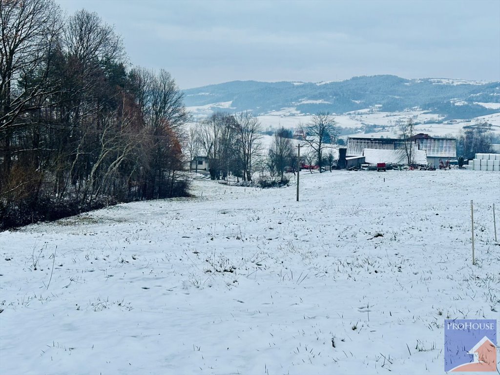 Działka budowlana na sprzedaż Męcina  3 300m2 Foto 6