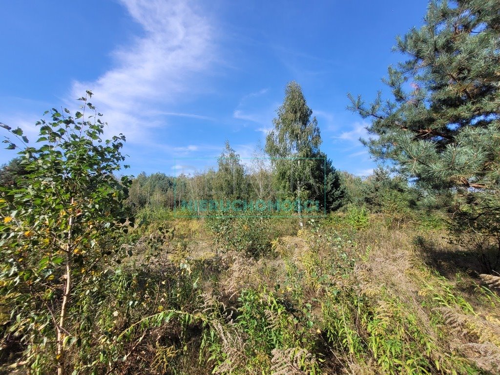 Działka budowlana na sprzedaż Osowiec  1 000m2 Foto 3