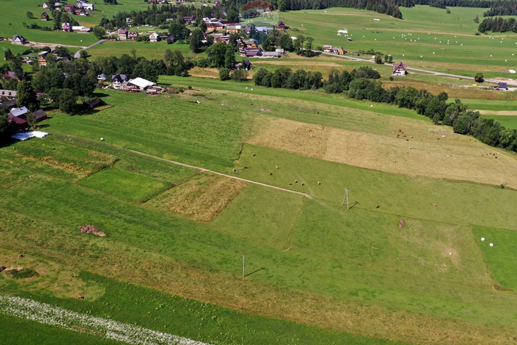 Działka rolna na sprzedaż Maruszyna  9 650m2 Foto 16