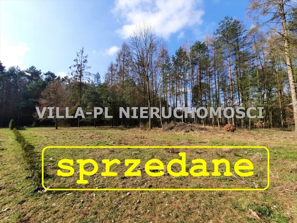 Działka budowlana na sprzedaż Słowak  5 702m2 Foto 1