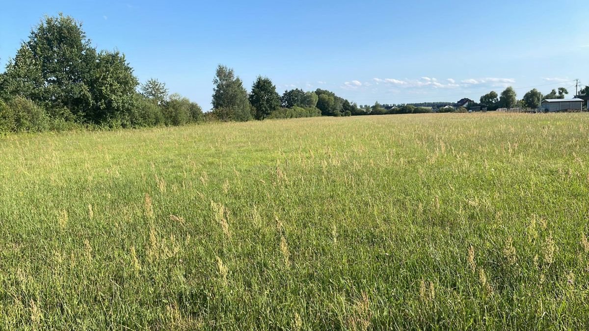 Działka budowlana na sprzedaż Studzieniec, Międzylesie  2 800m2 Foto 2