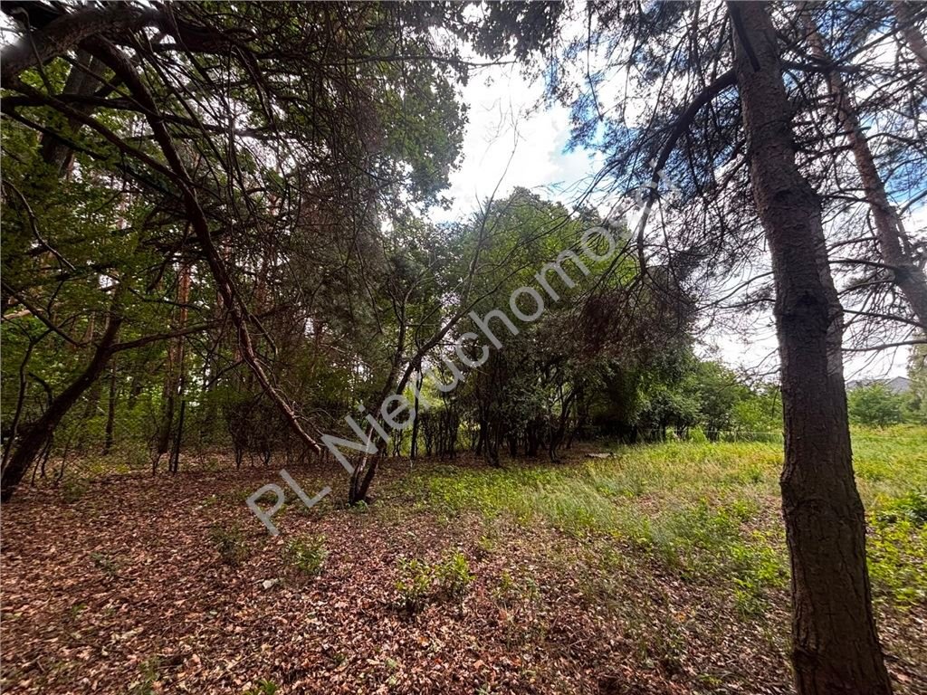 Działka 1100 m² przy lesie z mediami i dojazdem asfaltowym Stara Wieś  1 100m2 Foto 1