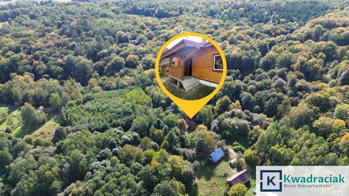 Sprzedam klimatyczny drewniany domek 40 m² z prywatnym lasem Wrocanka  40m2 Foto 1