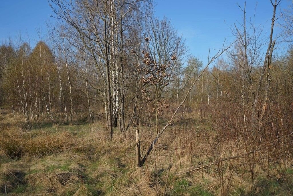 Działka 3725 m² z warunkami zabudowy i mediami - cicha okolica Stanisławów  3 725m2 Foto 1