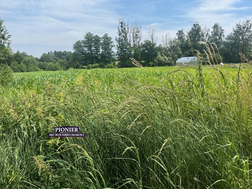 Polecam działkę 2500 m² z dojazdem asfaltowym i mediami Goleszów  2 500m2 Foto 1