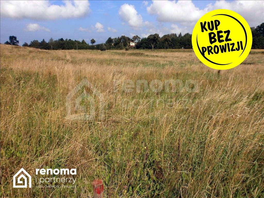 Działka budowlana na sprzedaż Będzinko  1 000m2 Foto 2